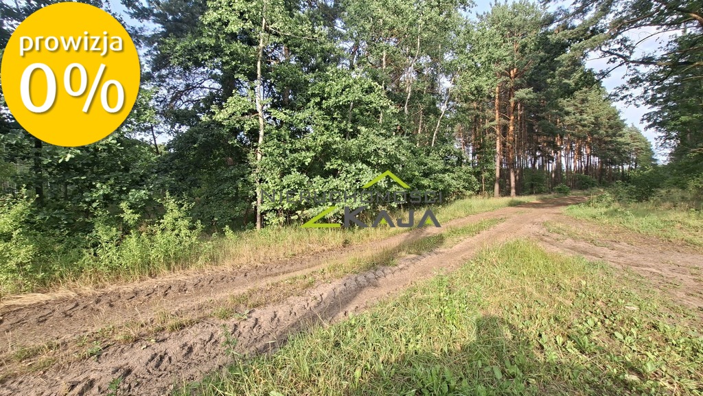 Zdjęcie 22