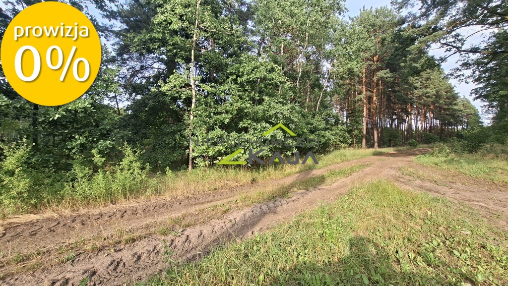 Zdjęcie 23