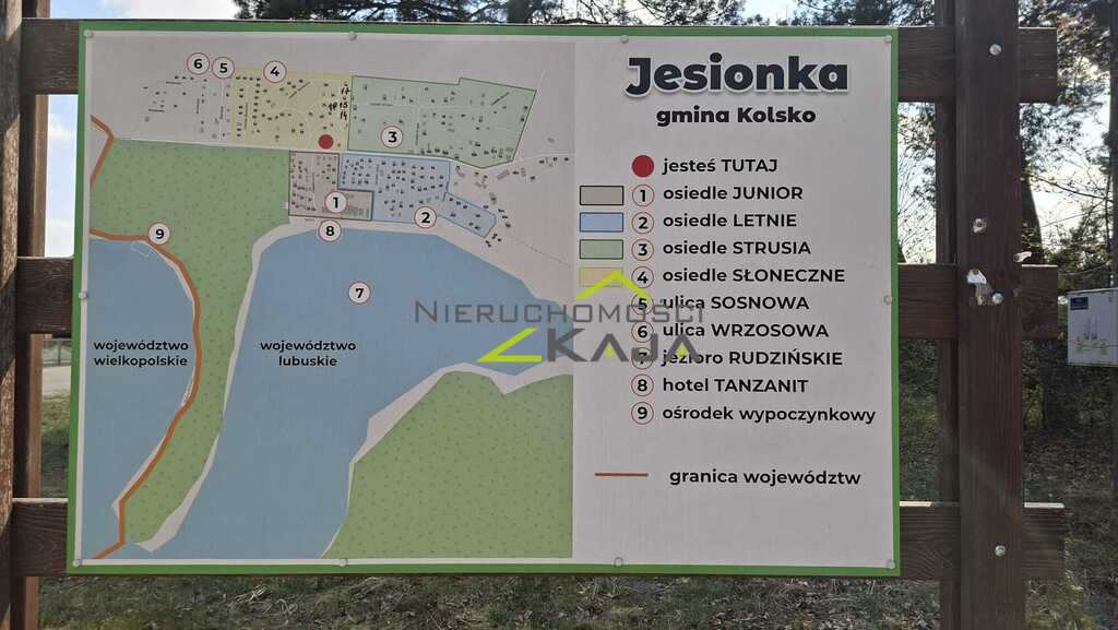 Zdjęcie 6