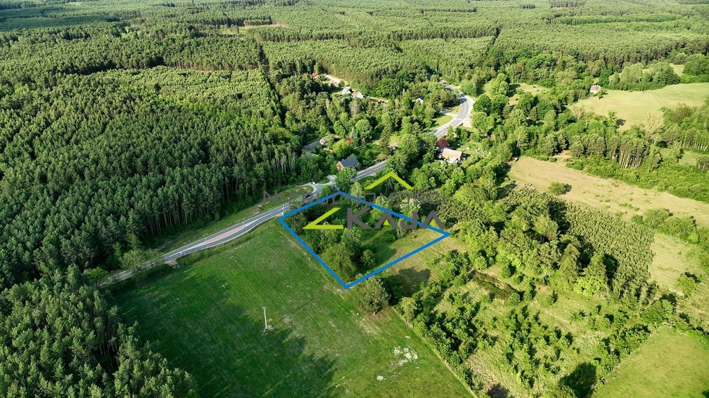 Zdjęcie 18