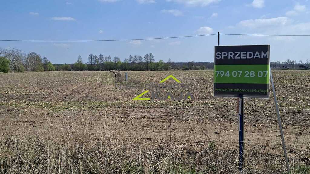 Zdjęcie 3