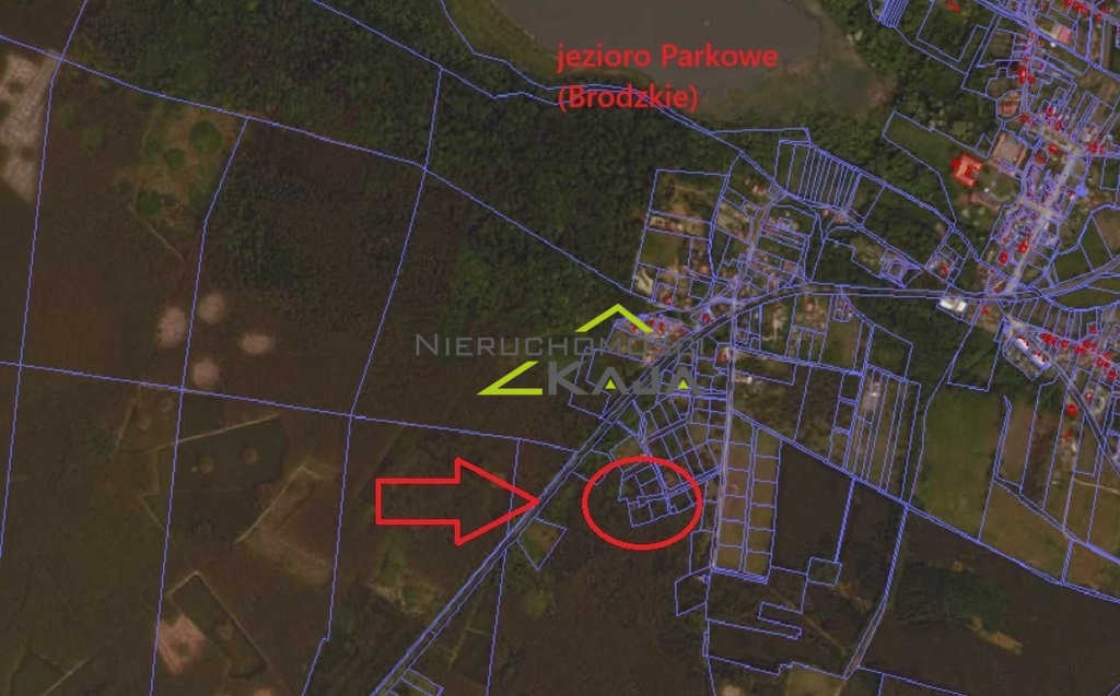 Zdjęcie 5