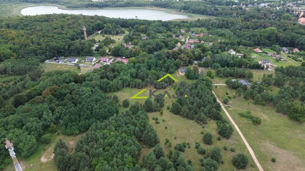 Zdjęcie 9
