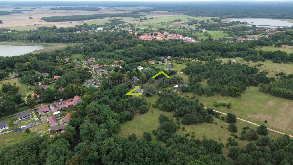 Zdjęcie 11