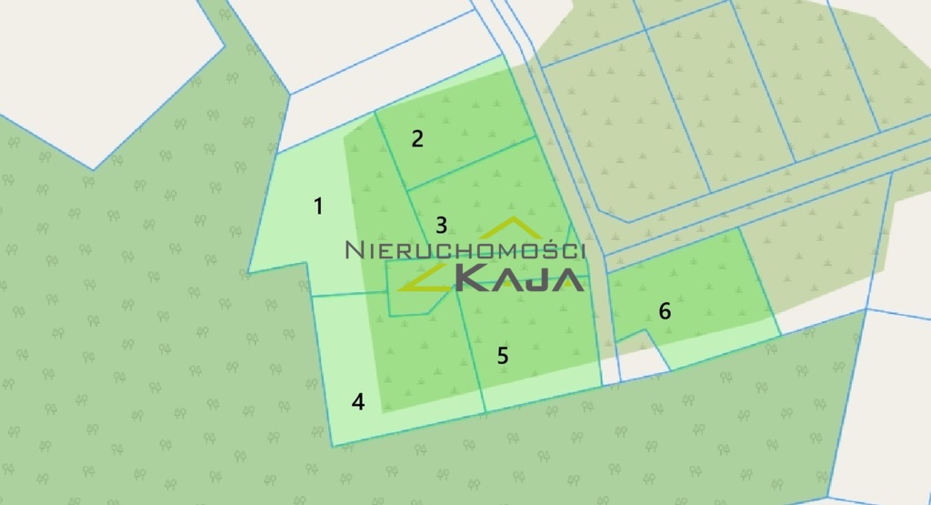 Zdjęcie 14