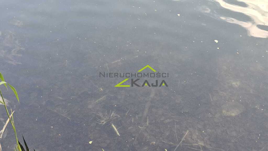 Zdjęcie 7