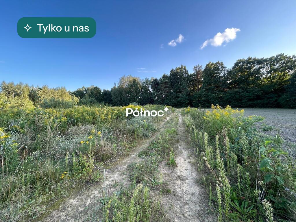 Działka budowlana i inwestycyjna 822 m², Łazy