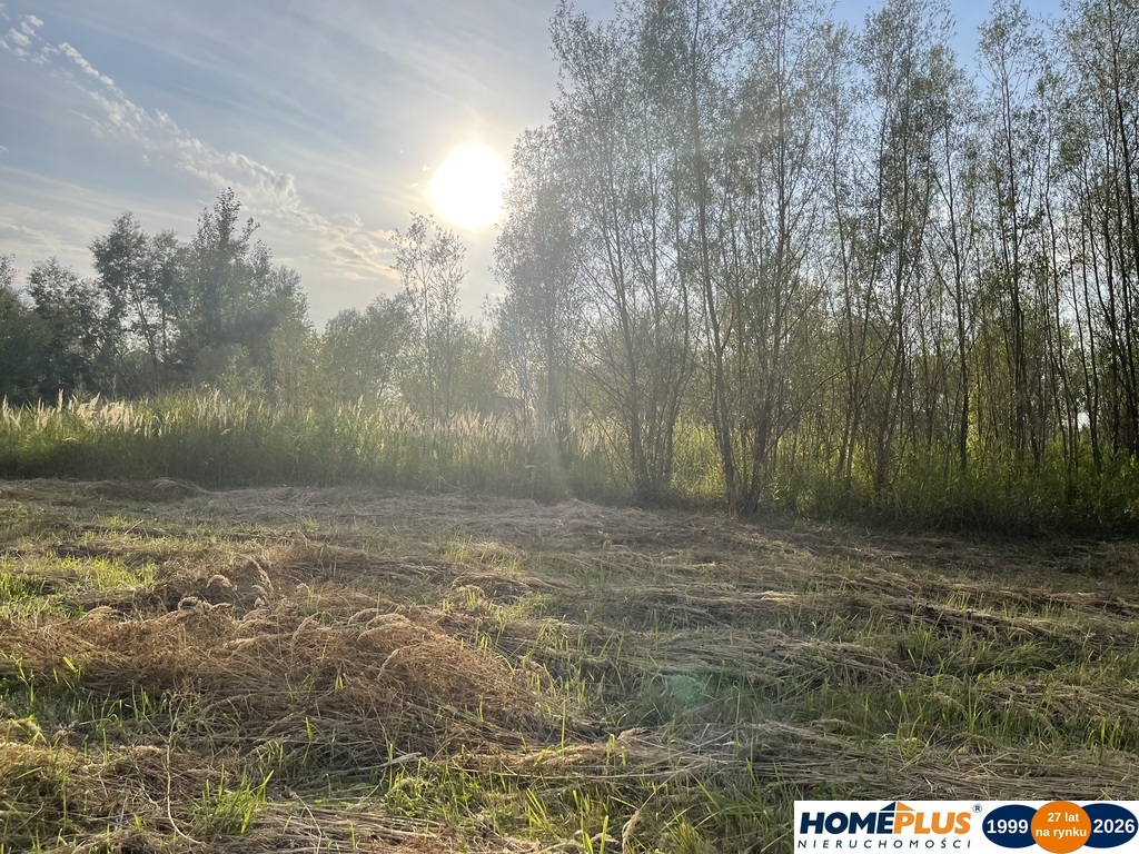 Działka rolna 2,5 ha, Dąbrówka