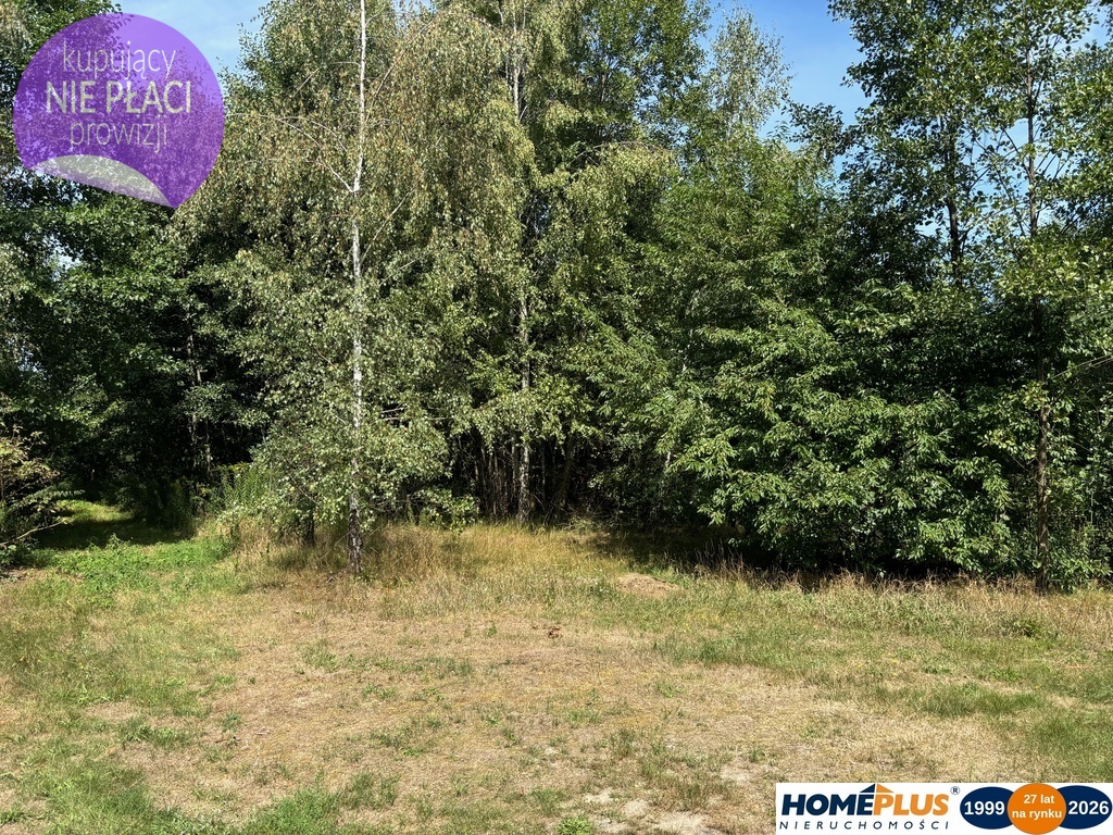 Działka budowlana 3 566 m², Ludwinów