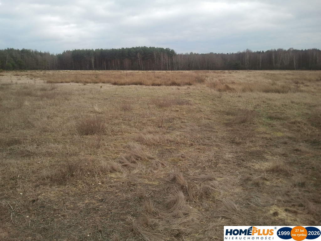 Działka rolna 6 000 m², Ostrówek