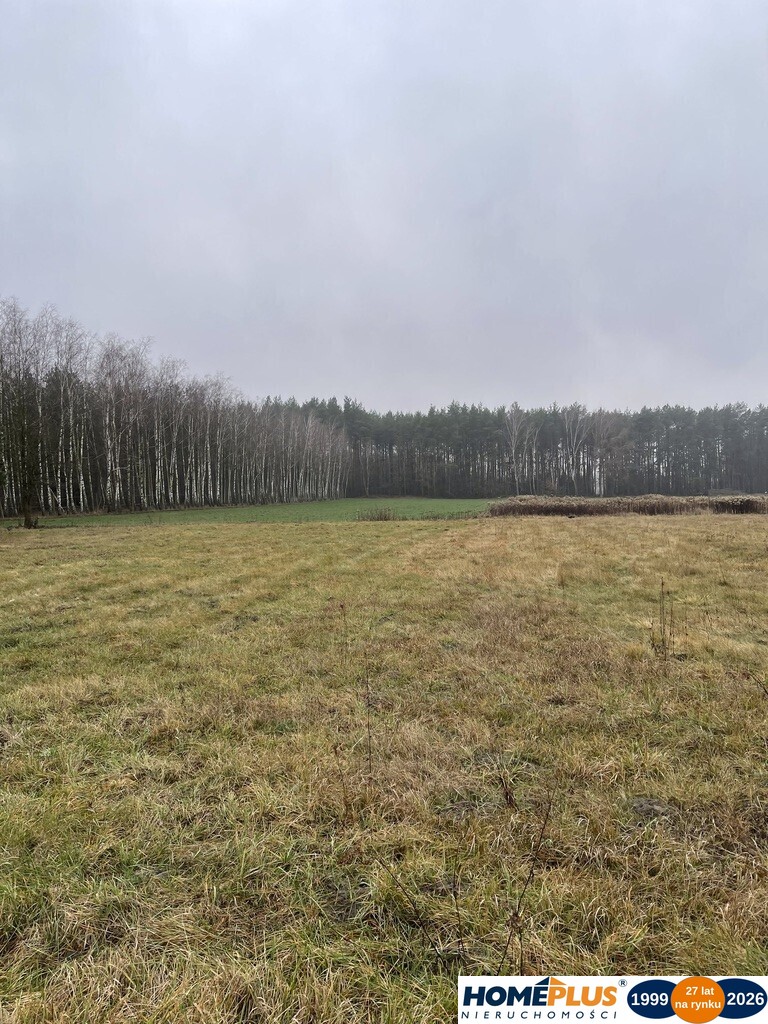 Działka budowlana 4 113 m², Sieraków