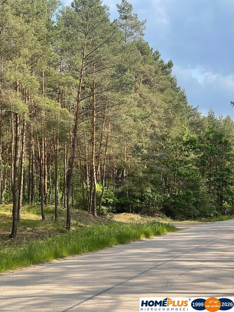Działka budowlana 6 883 m², Ruda