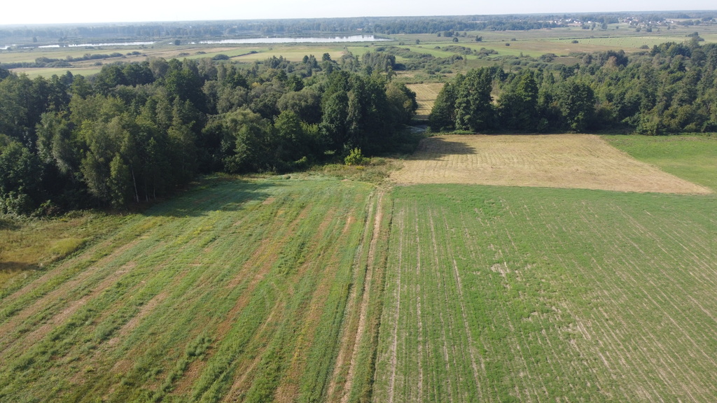 Działka budowlana 1,84 ha, Żminne