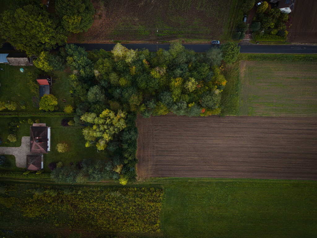 Działka budowlana 3 000 m², Brogi