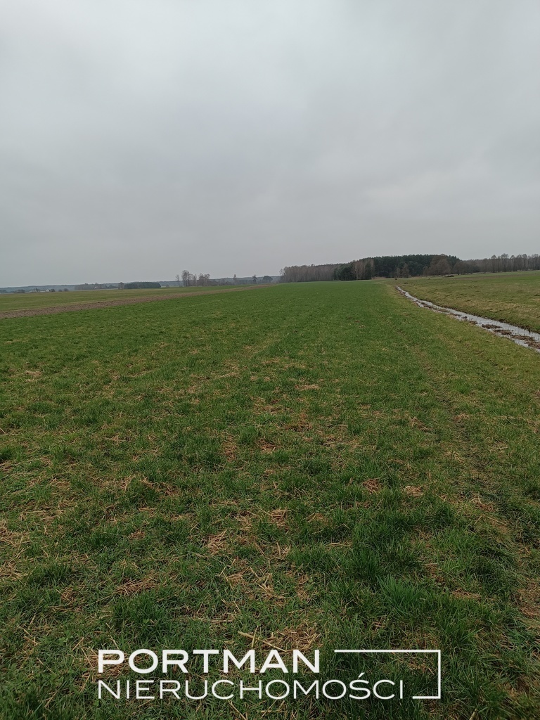Działka rolna 1,78 ha, Lasomin