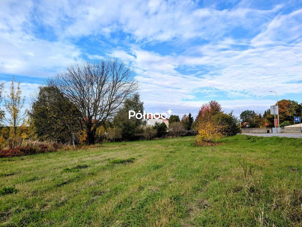Działka budowlana i inwestycyjna 3 959 m², Dominów