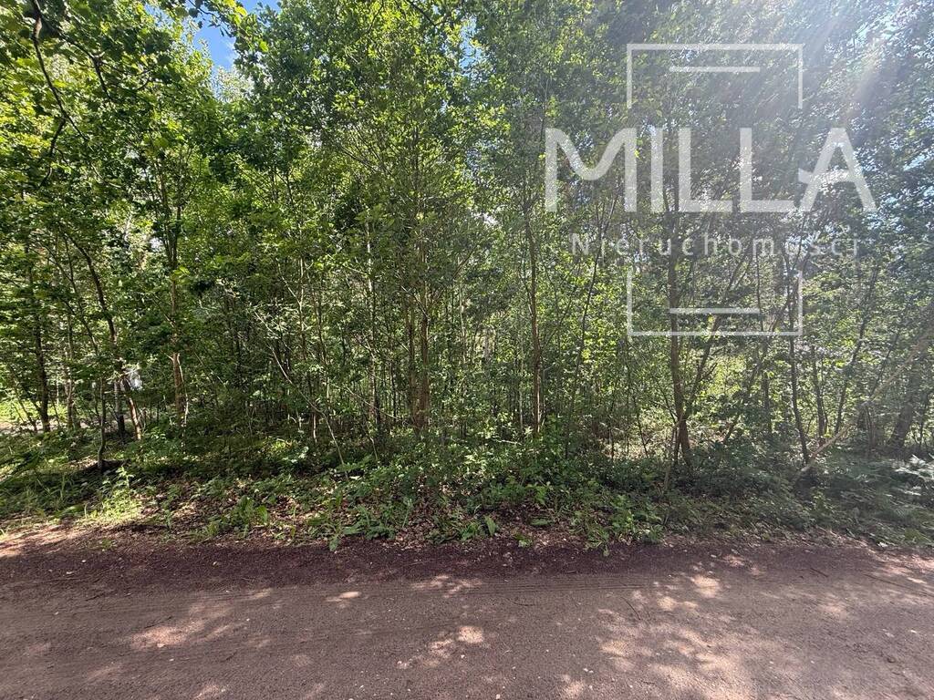 Działka budowlana 2 550 m², Sokolniki-Las