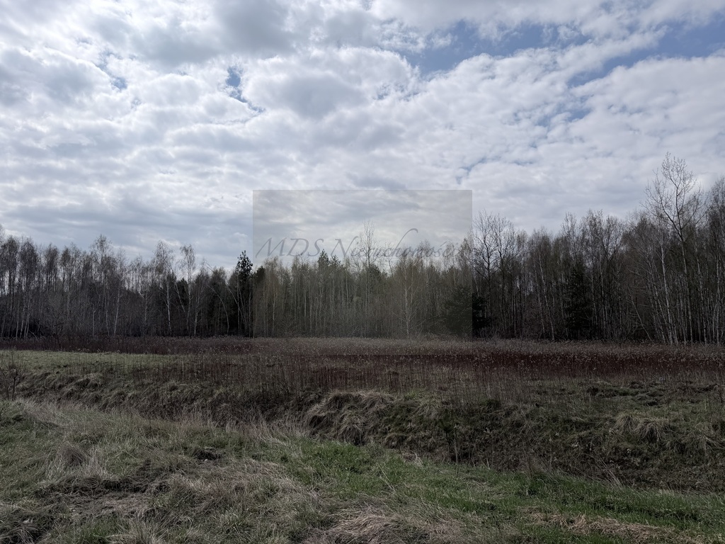 Działka inwestycyjna 1,68 ha, Wola Ducka