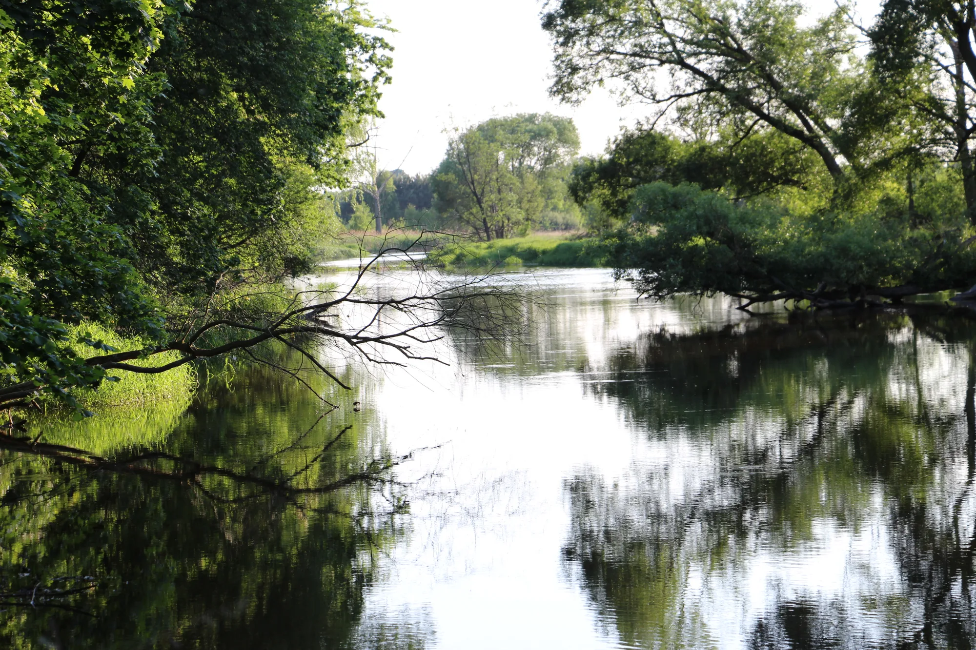 Działka budowlana, rekreacyjna i inwestycyjna 4,43 ha, Troniny, Danków