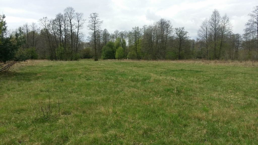 Działka budowlana 1 205 m², Budy Zosine