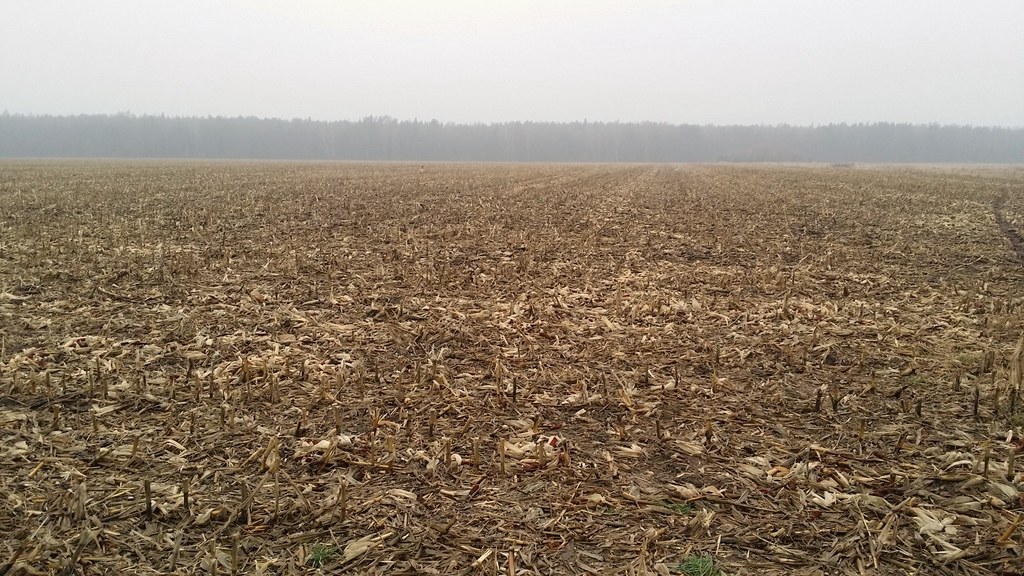 Działka budowlana 7,33 ha, Chrząstawa Wielka