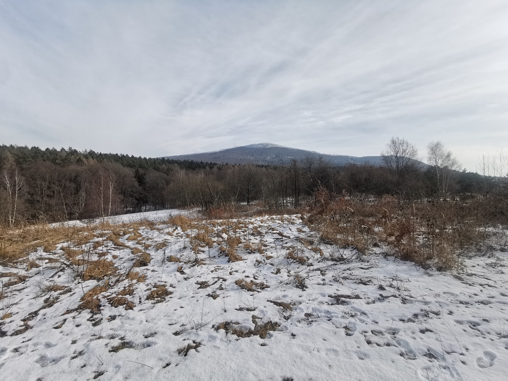 Działka budowlana 6 500 m², Sobótka