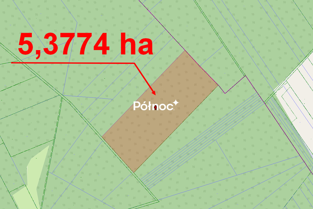Działka leśna 5,38 ha, Mokre