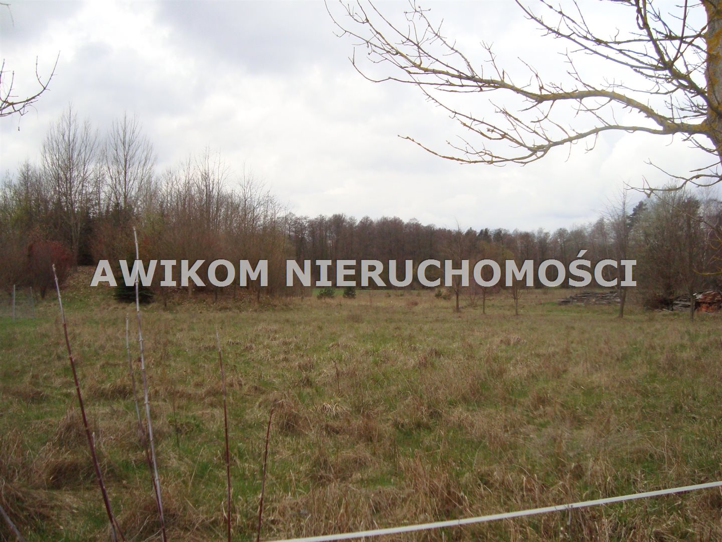 Działka rolna 1,35 ha, Grzmiąca