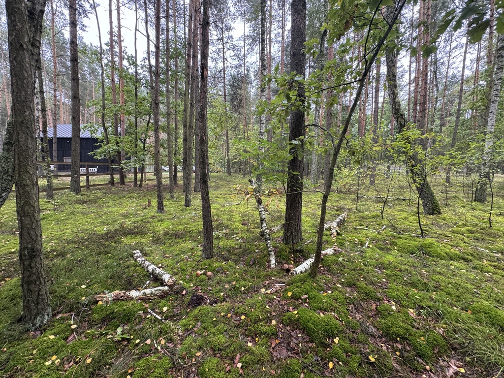 Działka budowlana 1 993 m², Nowy Adamów