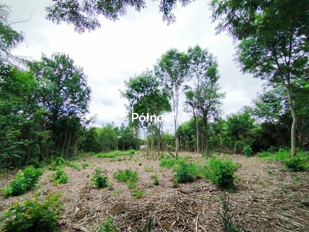 Działka budowlana 3 178 m², Boniewo