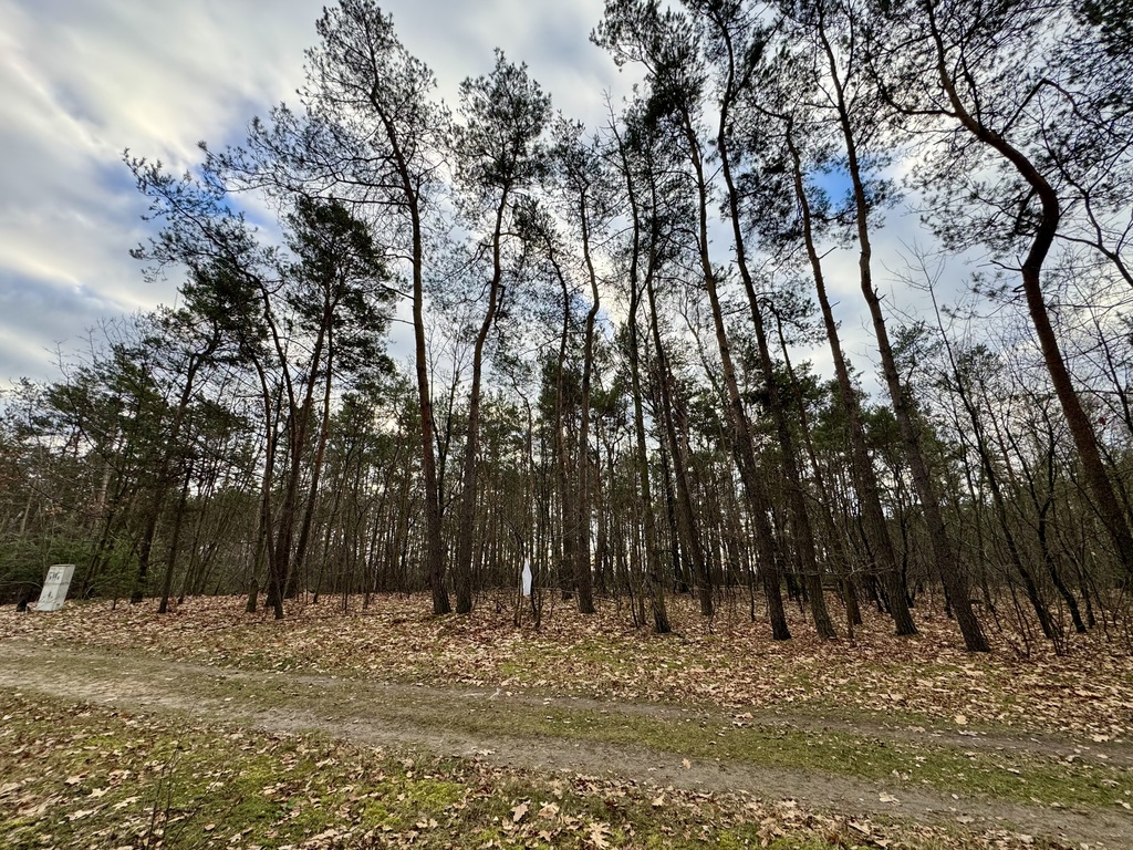 Działka budowlana 1 370 m², Romanów