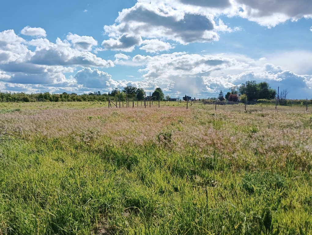 Działka budowlana 1 514 m², Ostrołęka