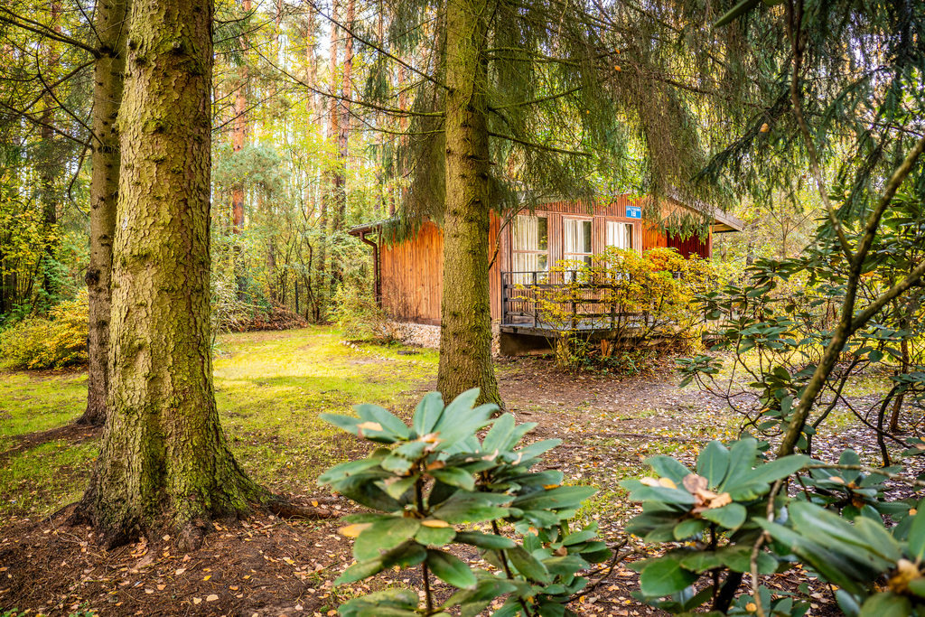 Działka budowlana 745 m², Prace Duże