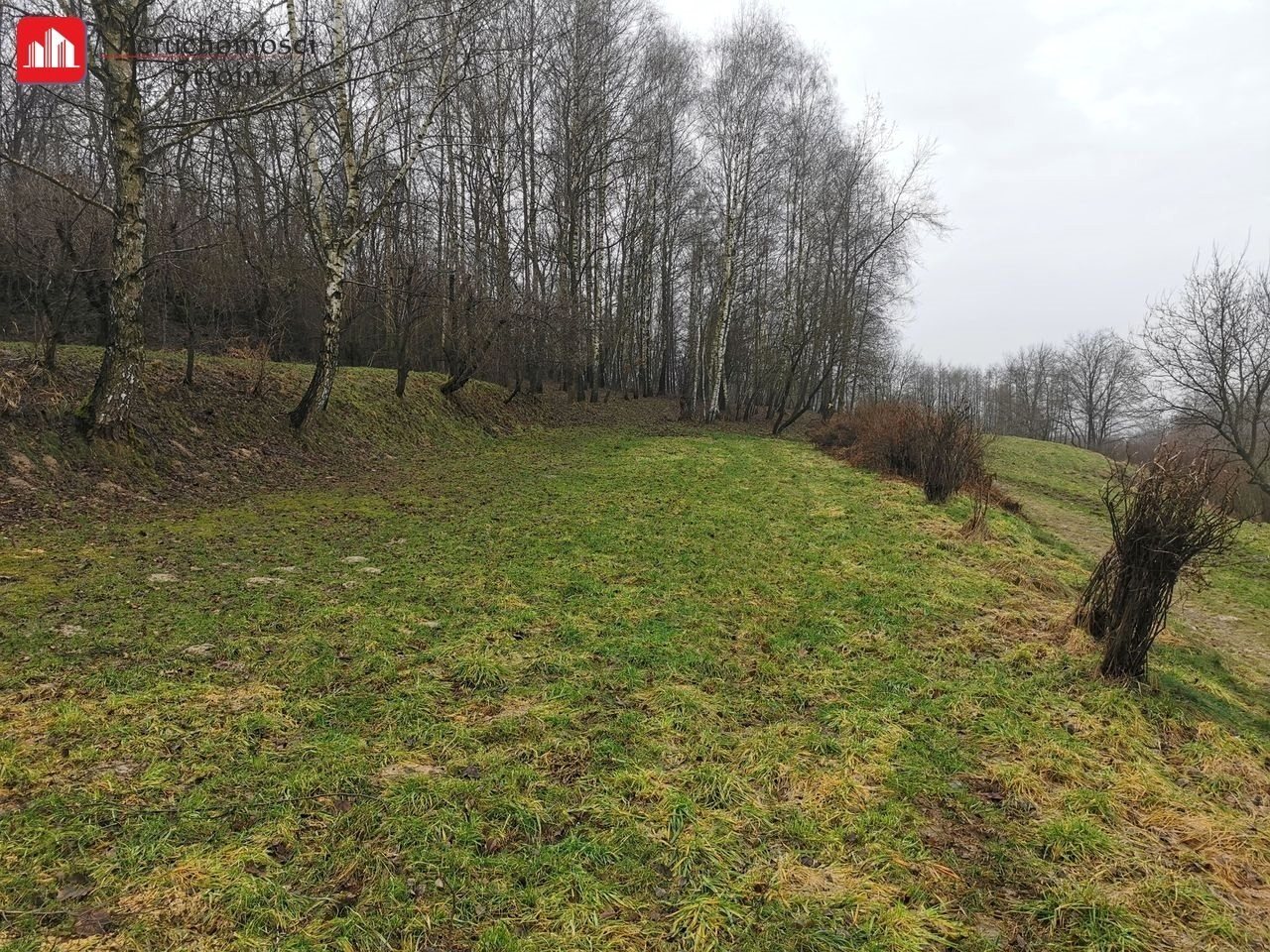 Działka budowlana 1 504 m², Golkowice