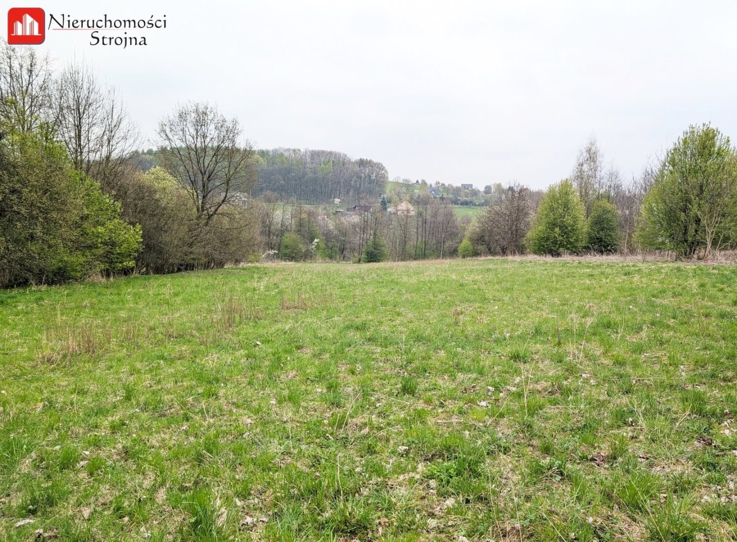 Działka budowlana i rolna 5 500 m², Sułków