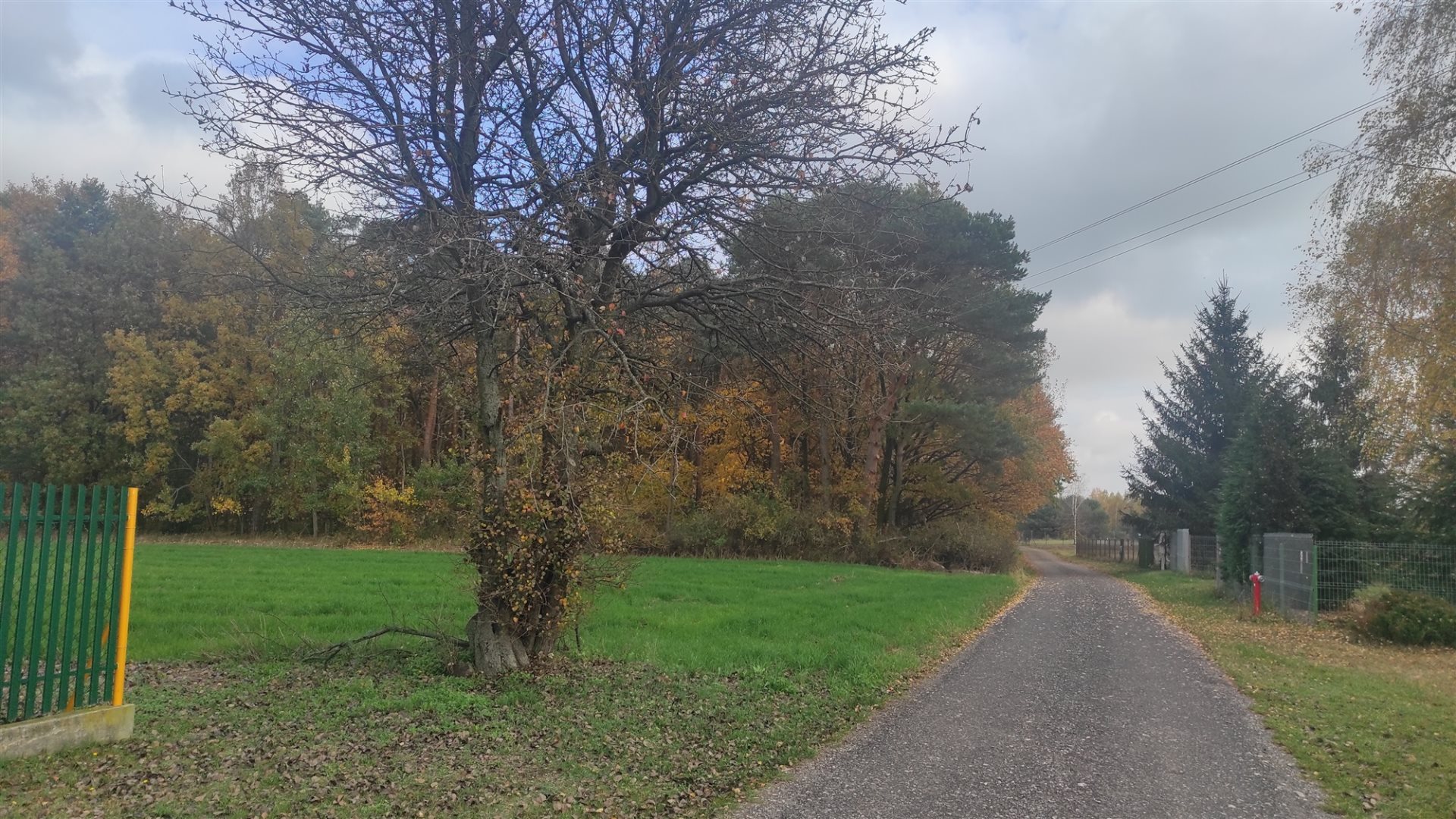 Działka rolna 2,14 ha, Wola Pasikońska