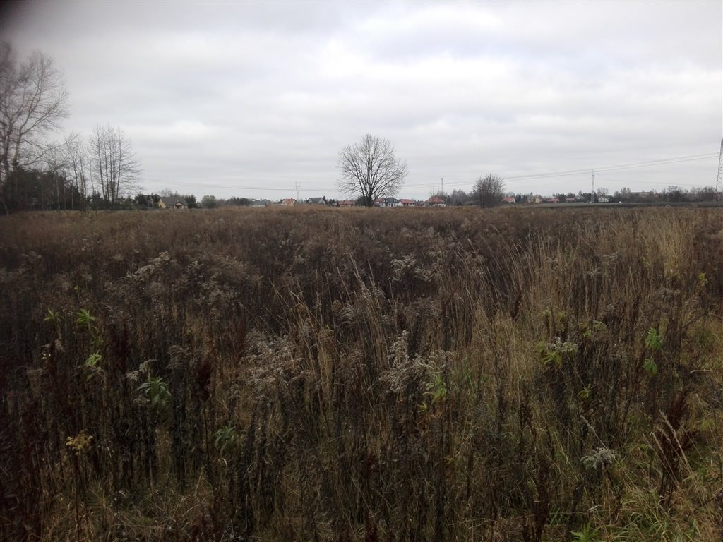 Działka budowlana 3 332 m², Kampinos A