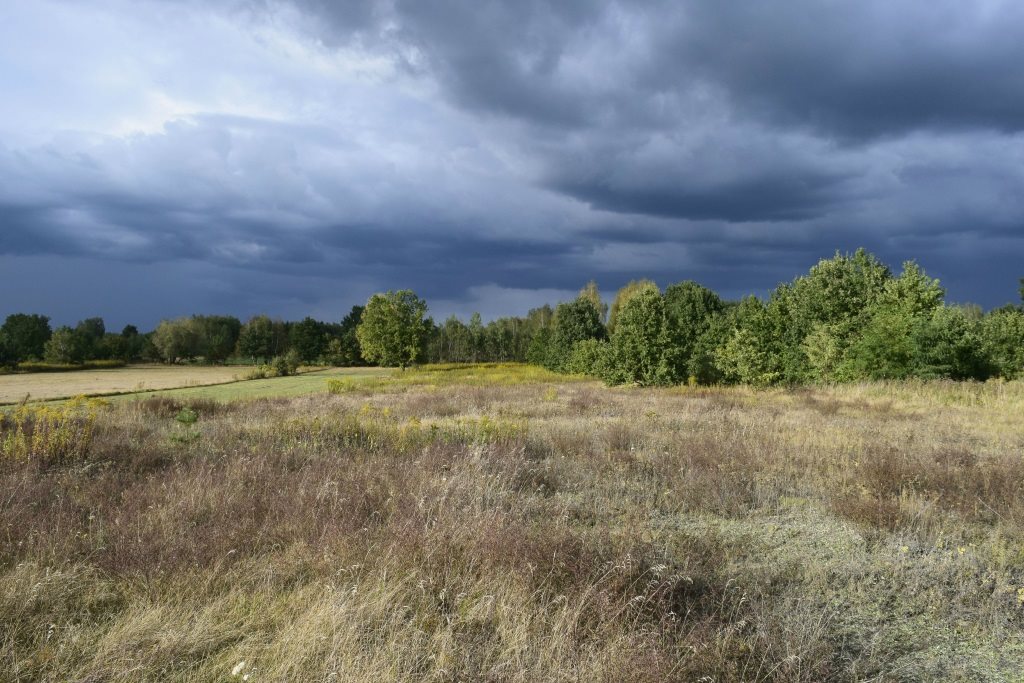 Działka budowlana 2 188 m², Powązki
