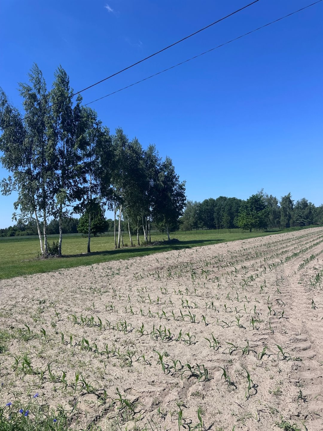 Działka budowlana 3 000 m², Nowe Paski