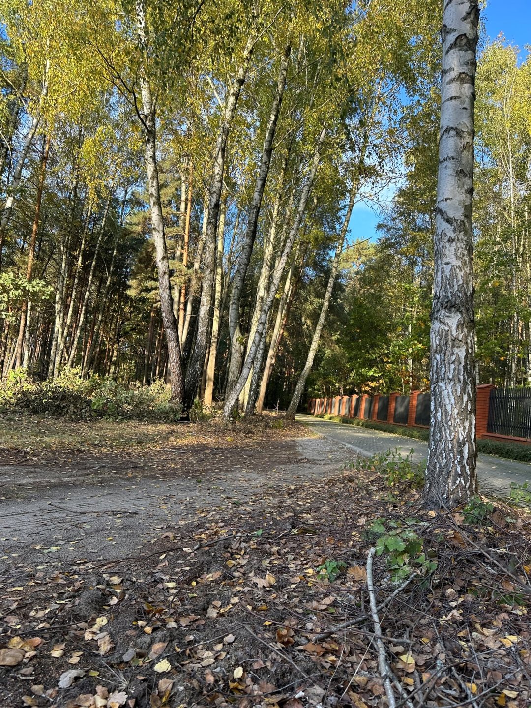 Działka budowlana 5 500 m², Wólka