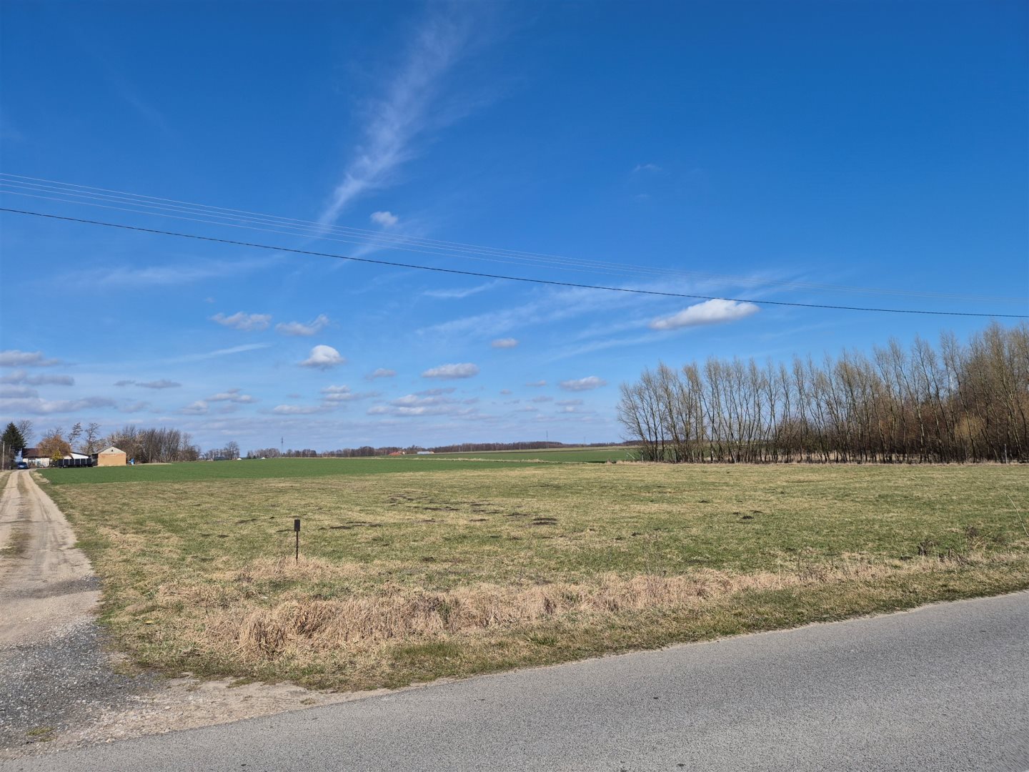 Działka rolna 4,88 ha, Nowe Wrońska