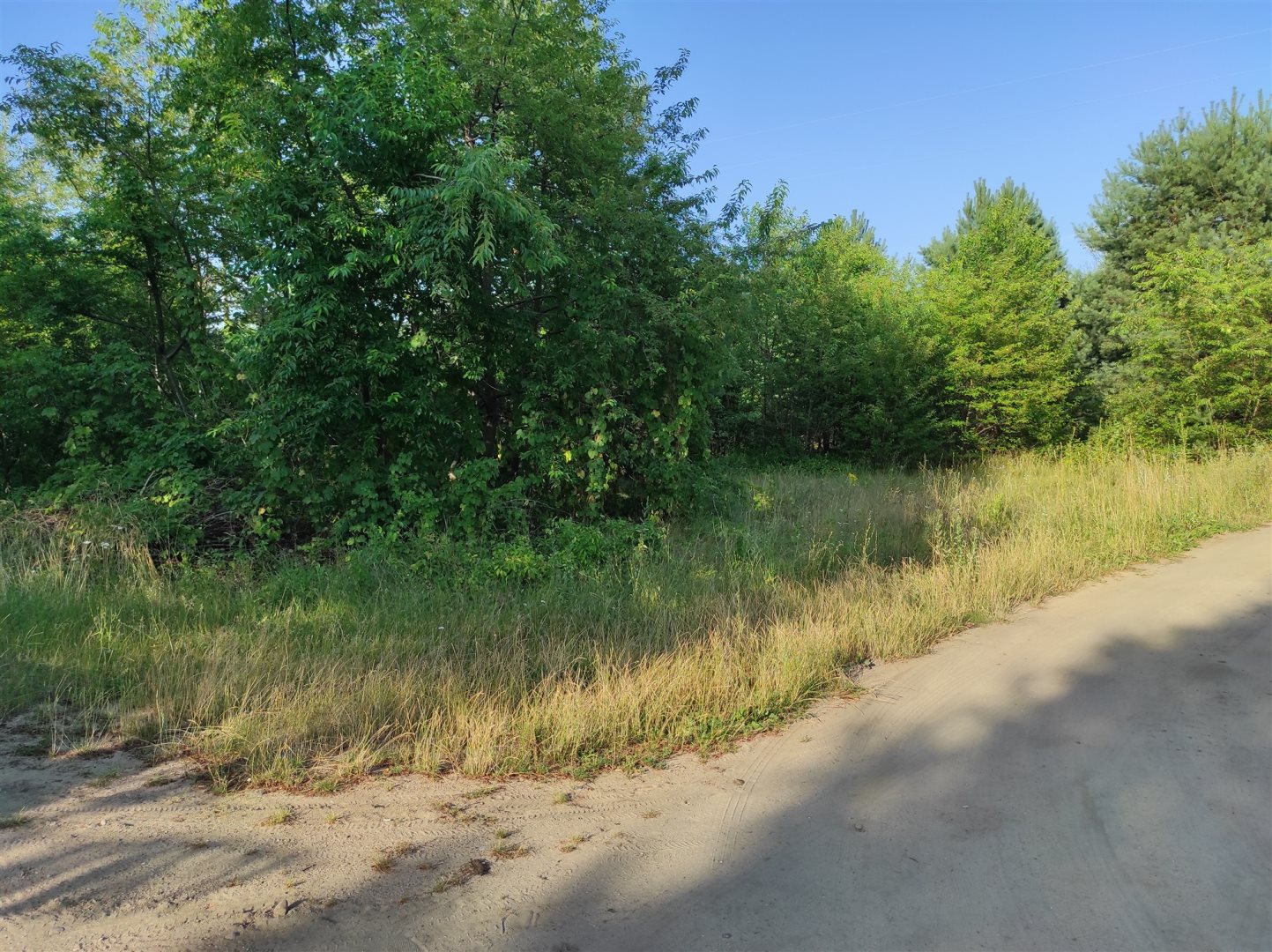 Działka inwestycyjna 2 000 m², Cieksyn