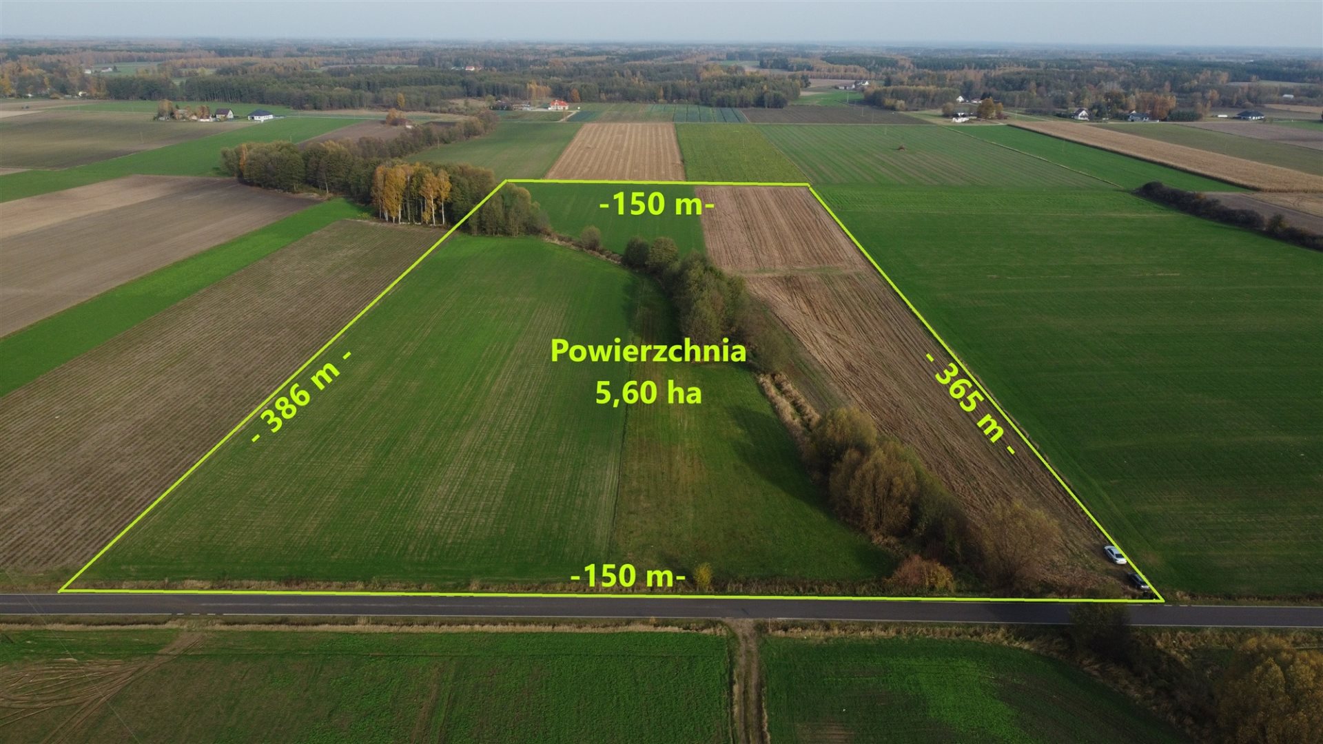Działka rolna 5,6 ha, Nowe Wrońska
