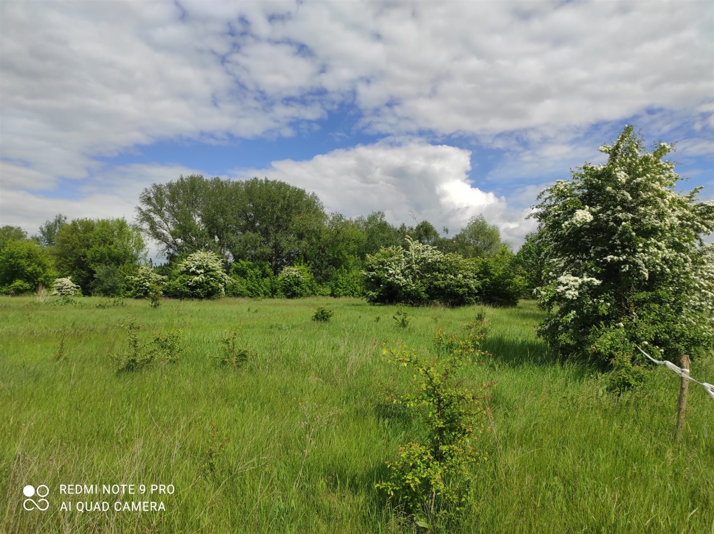 Działka rekreacyjna 2 719 m², Pomiechowo