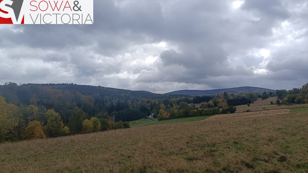 Działka budowlana 1 789 m², Walim