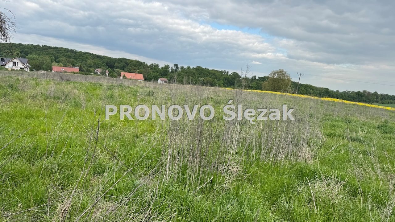 Działka rolna 1,26 ha, Skarszyn