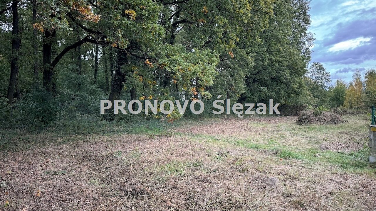 Działka budowlana 1 290 m², Siemianice