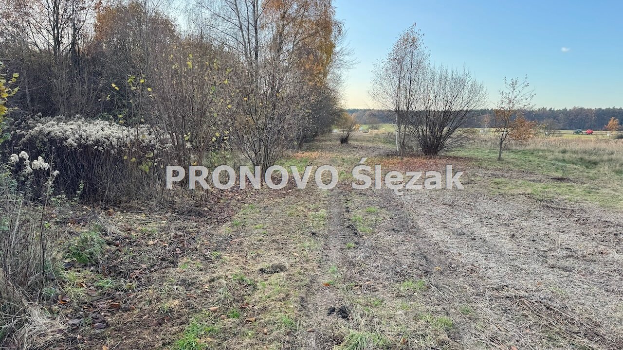 Działka budowlana 1 266 m², Rościsławice