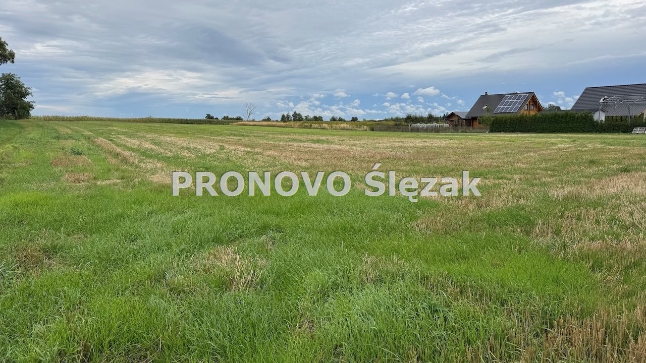Działka rolna 1,01 ha, Lutynia