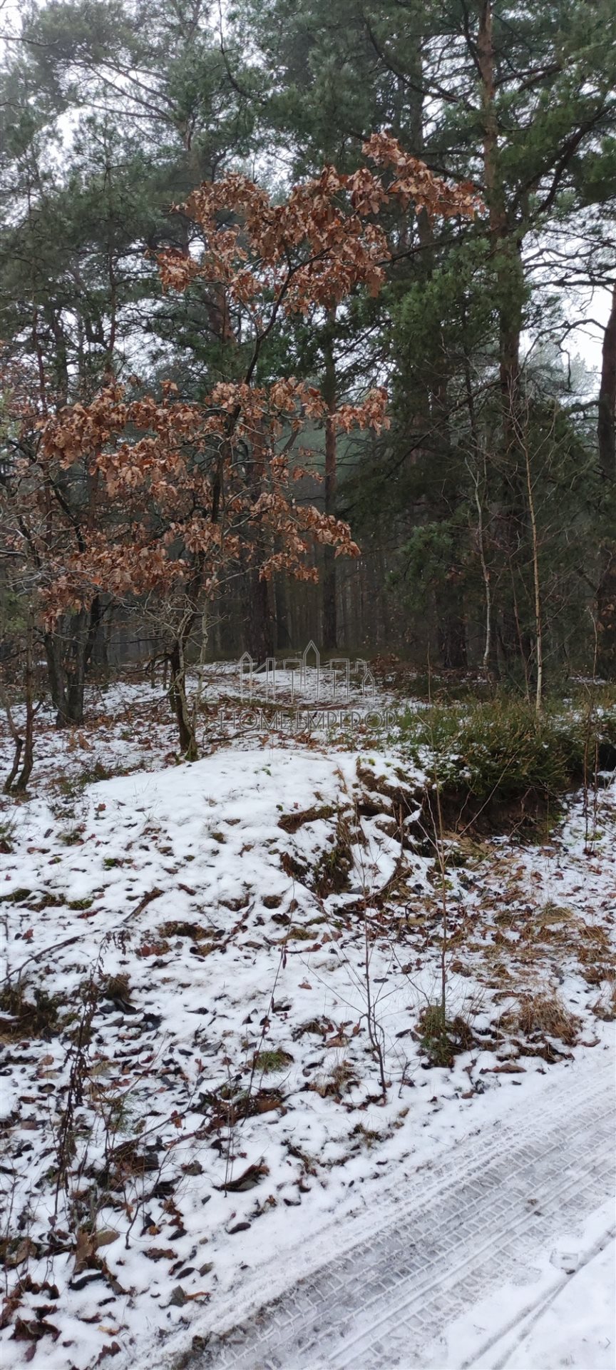 Działka leśna 9 884 m², Józefów